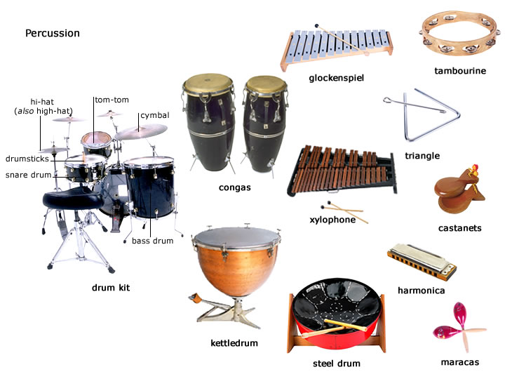 Percussion instrument  Percussion instruments, Percussion, Drums
